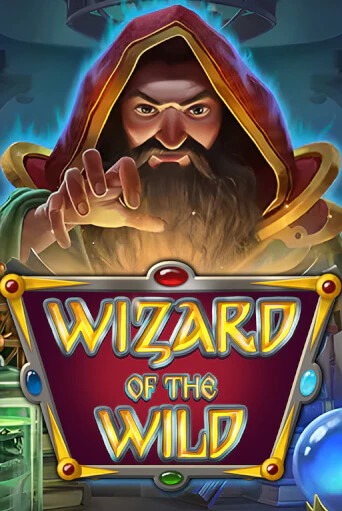 Демо игра Wizard of the Wild играть онлайн | Казино Икс бесплатно